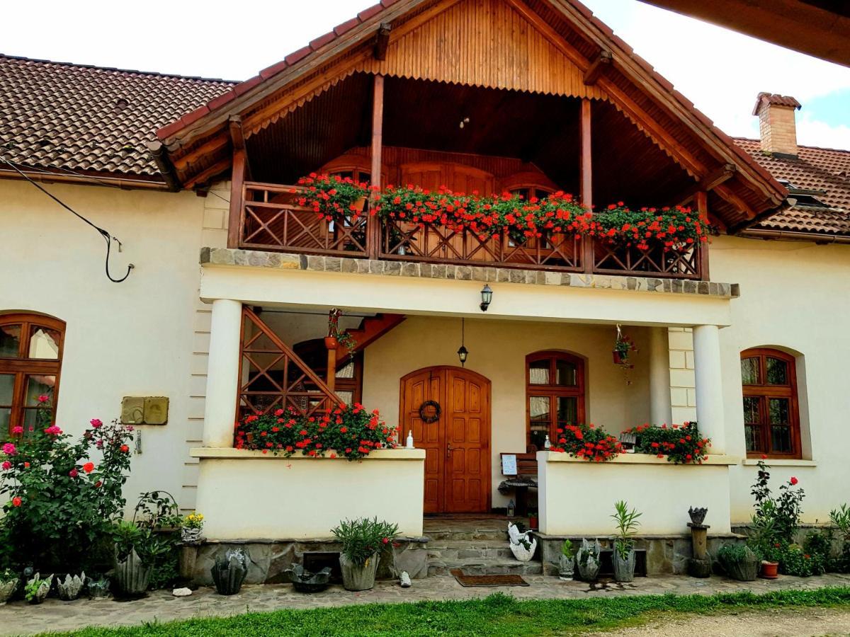 Eniko Vendeghaz Bed and Breakfast Cernat Buitenkant foto